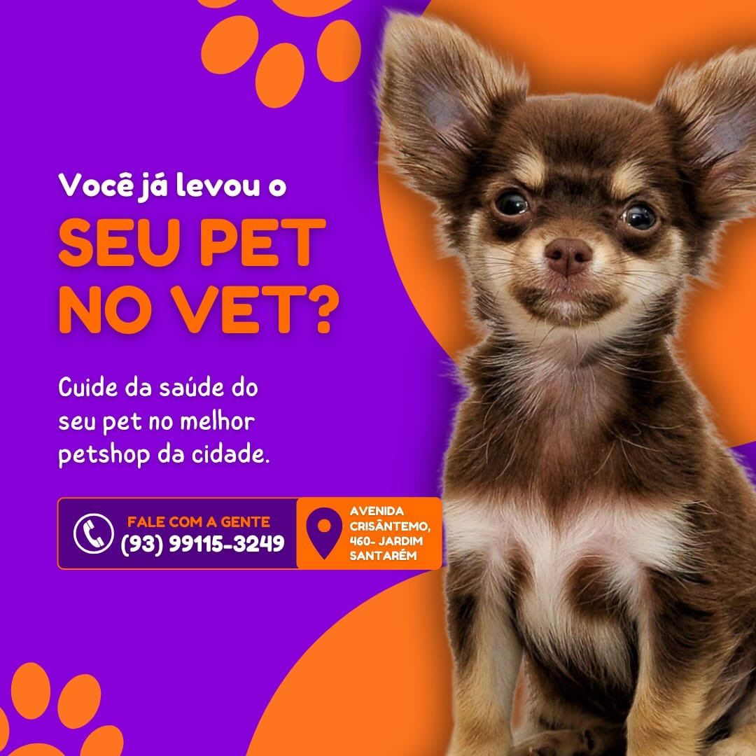 Perfil @vetleet_latidosemiados no Instagram